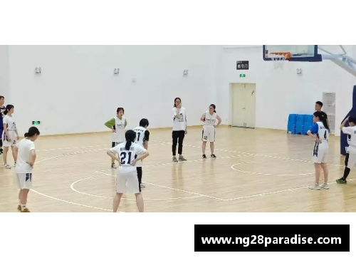 NG南宫28中国篮球：巅峰之路